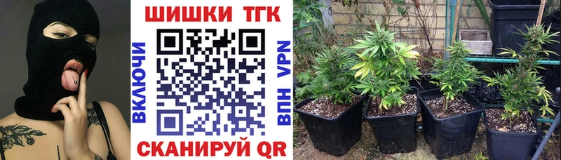 Где продают наркотики Луга MDMA  МЕГА как зайти  Мефедрон 