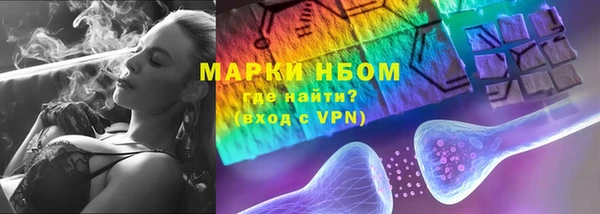 PSILOCYBIN Михайлов