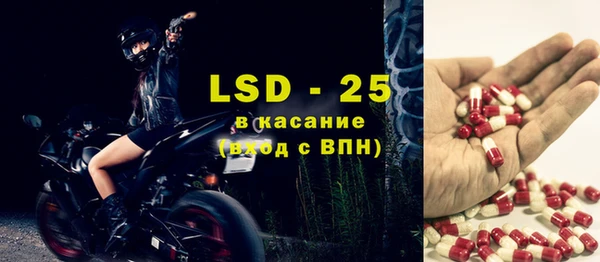 PSILOCYBIN Михайлов