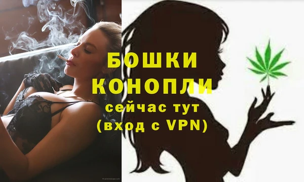 PSILOCYBIN Михайлов
