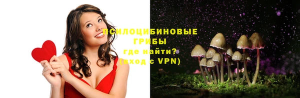 PSILOCYBIN Михайлов
