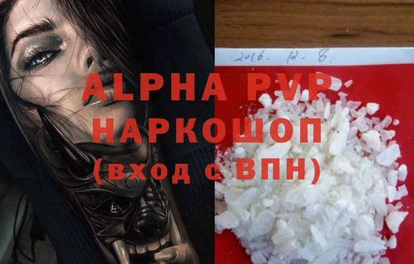 PSILOCYBIN Михайлов
