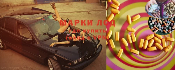 PSILOCYBIN Михайлов