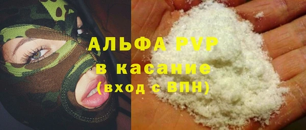 PSILOCYBIN Михайлов