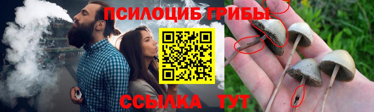 Луга  купить закладку  Вход с VPN  Псилоцибиновые грибы мицелий  Галлюциногенные грибы Cubensis 