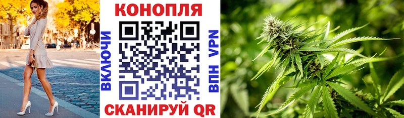 Конопля планчик  omg как войти  Луга 