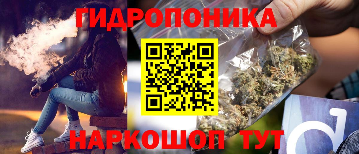Конопля планчик  Канабис конопля  Луга  Вход с VPN  МАРИХУАНА SATIVA & INDICA 